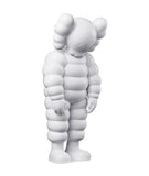 KAWS | What Party Figure Set (2020) Pink