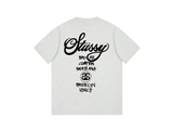 Stussy World Tour T-shirt Grey