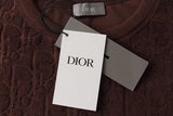 Dior Oversized Oblique Brown T-shirt